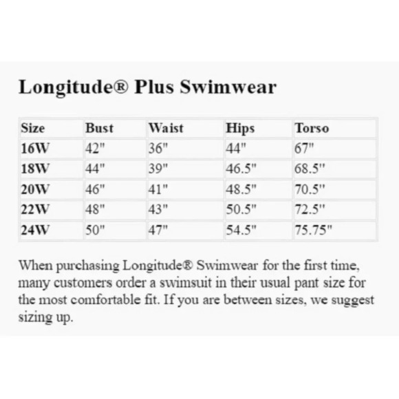 20W Longitude‎ Plus Size Colorblock Plunge Tummy Control 1PC Swim NWT - Picture 5 of 6